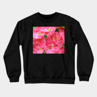 Tropical Flowers Crewneck Sweatshirt